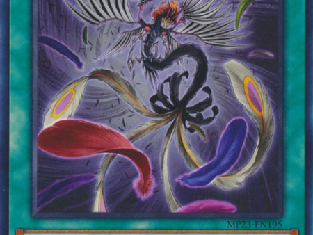 Black Feather Whirlwind [MP23-EN195] Common Online